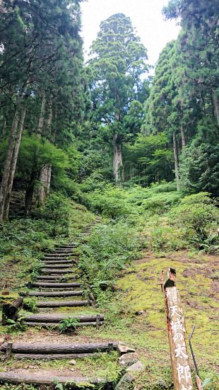 �ɓ��@�V�鑾�Y���ƎO�w���ɂ̂���